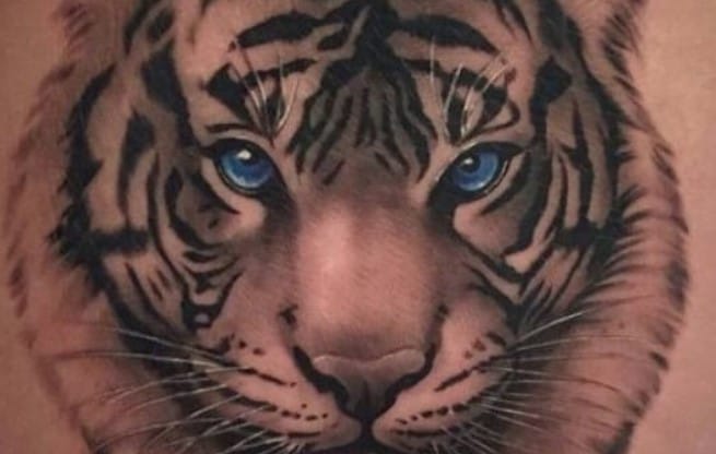 16+ Best Tiger Tattoo Designs For Thigh