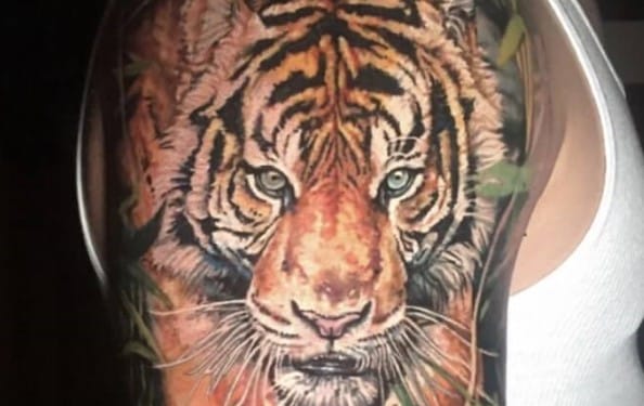 15+ Best Sleeve Tattoo Designs – Tiger Tattoo Ideas