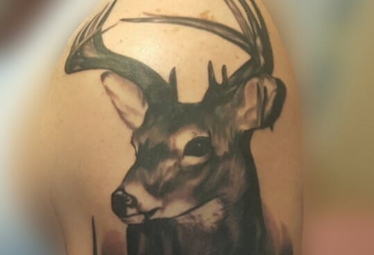 50+ Mind-Blowing Deer Tattoo Designs