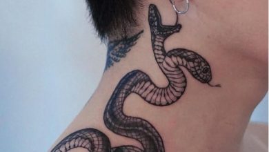 20 of the Best Two-Headed Snake Tattoos Ever