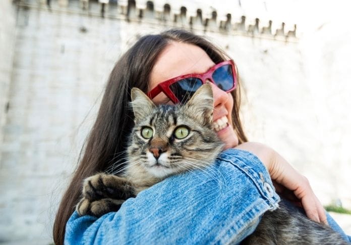 4 Ways to Spoil Your Pet Cat During National Hug Your Cat Day