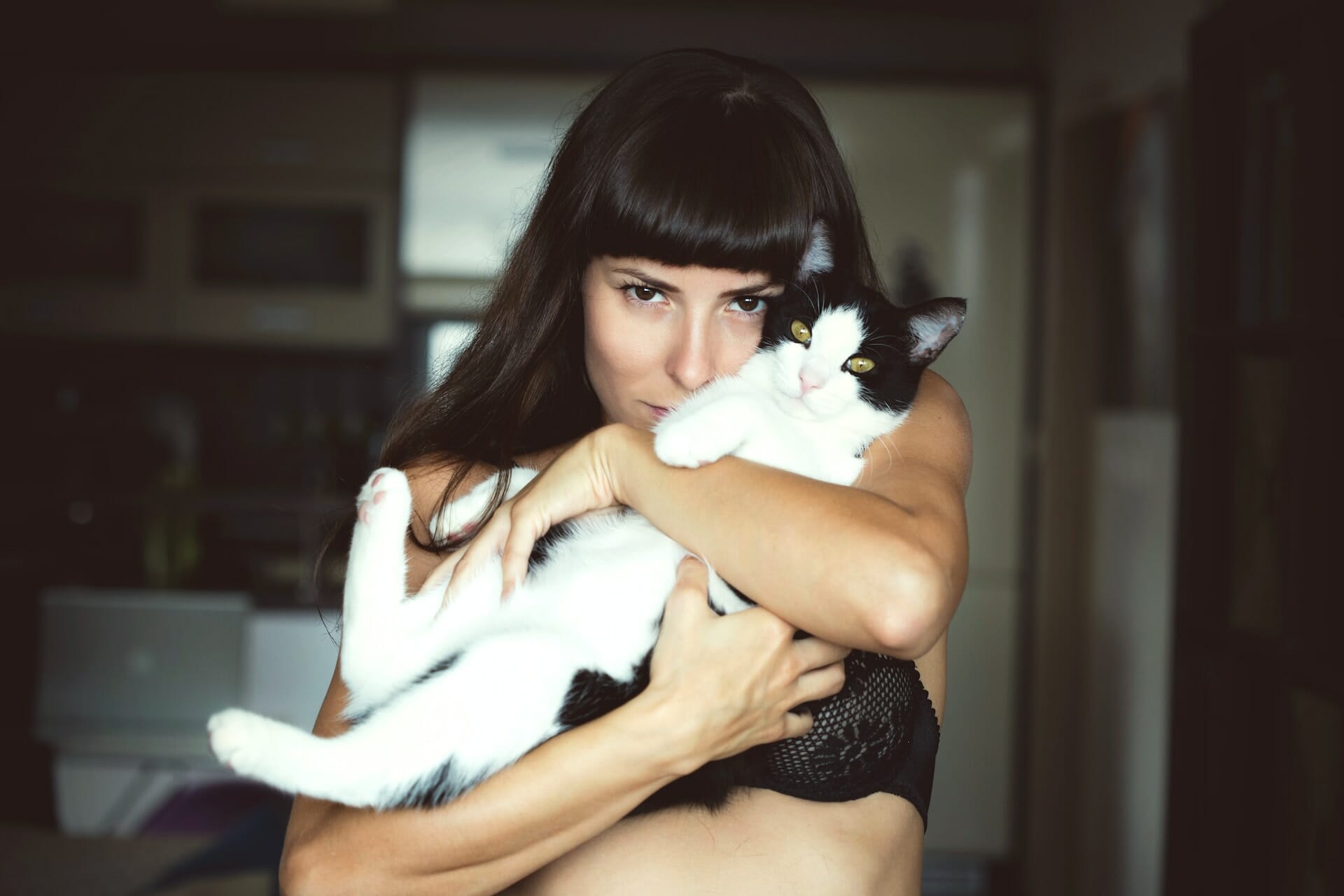 50+ Best Cat Lady Quotes That Inspire to Embrace Dreams