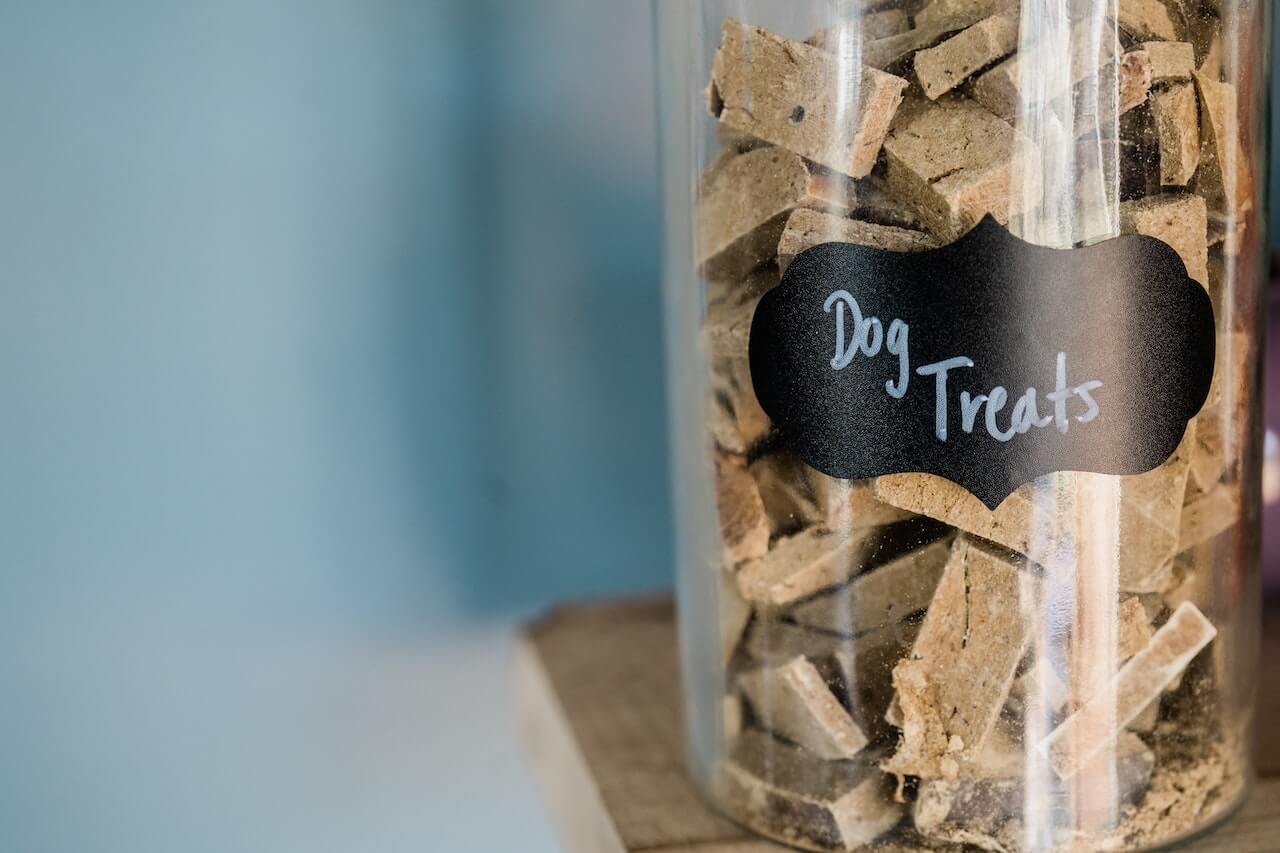 How To Store Dog Food & Keep It Fresh For A Long Time