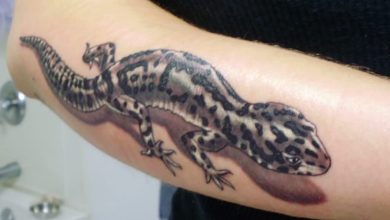 27 Gecko Tattoo Designs & Ideas