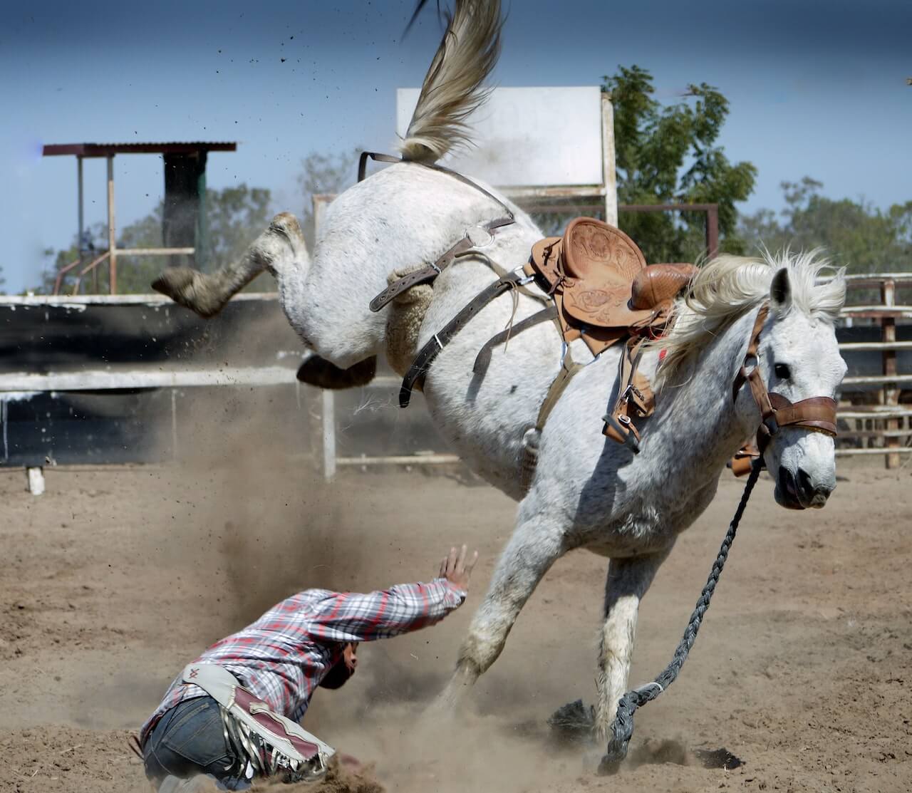 10 Most Common Ways To Get Hurt By A Horse