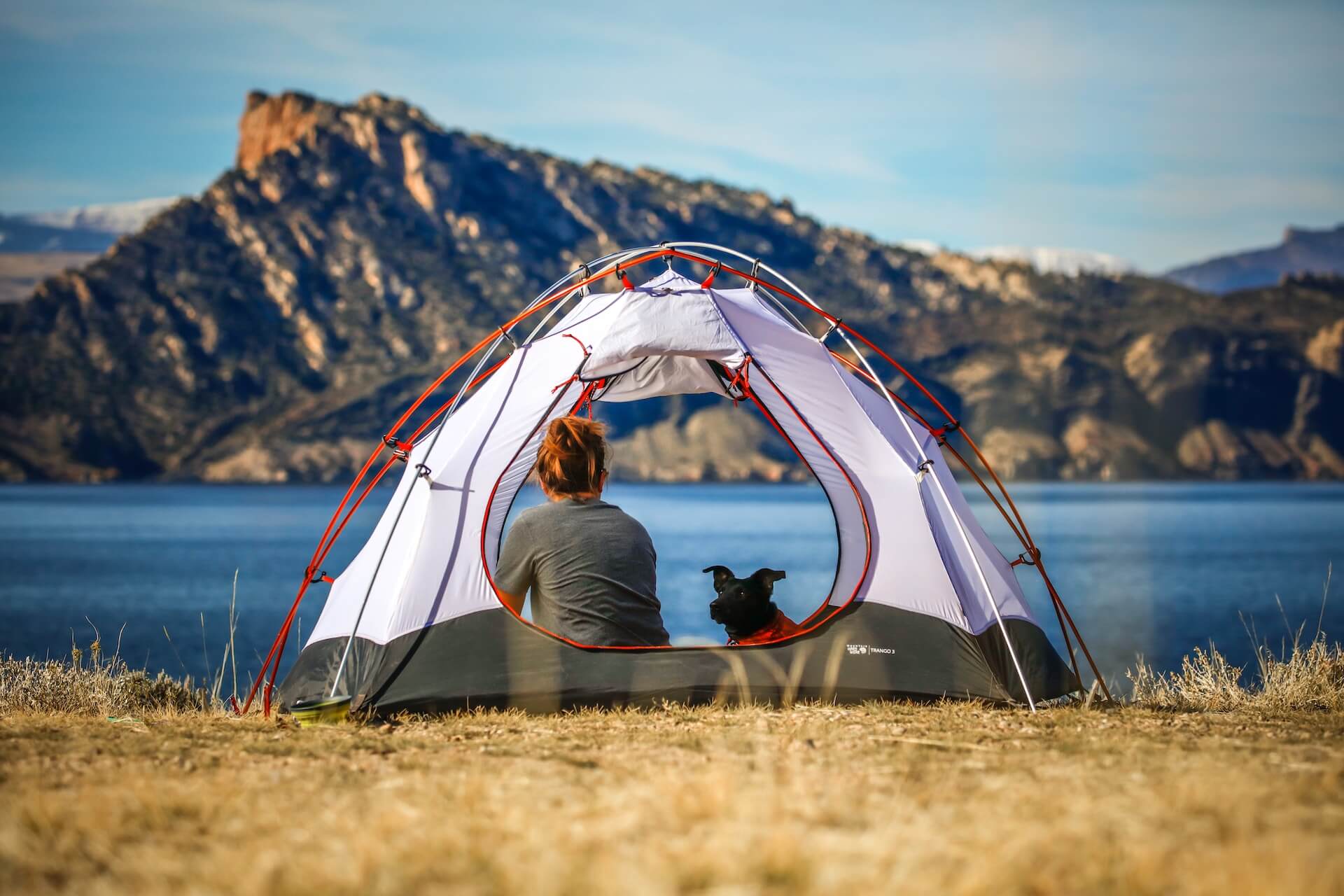 The Ultimate Packing List For Taking Your Dog Camping