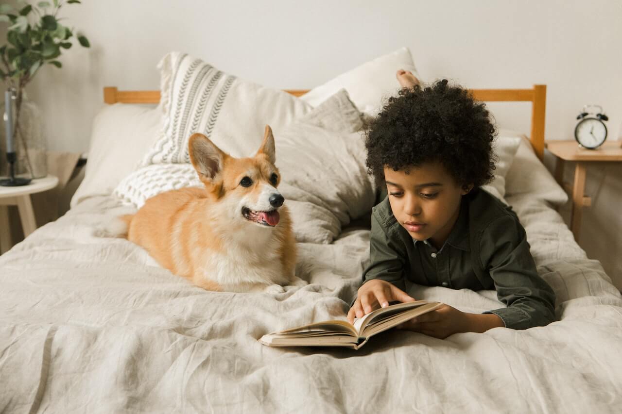 What Are The Best First Pets for Kids: An Age-Wise Guide