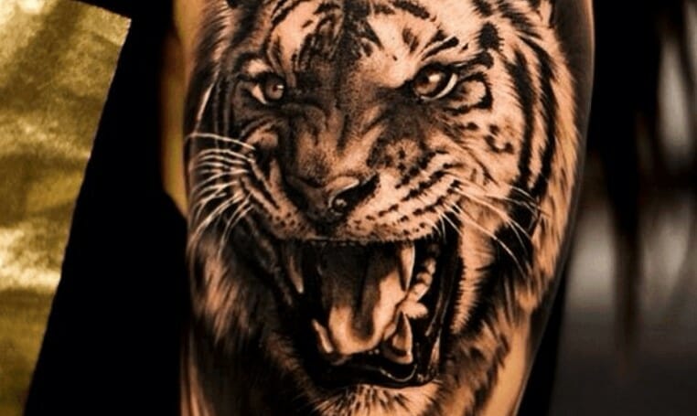 15+ Angry Tiger Tattoo Designs and Ideas
