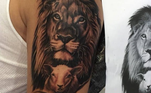 12+ Best Lion and Lamb Tattoo Designs