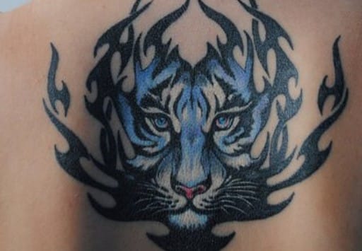 10+ Best Blue Tiger Tattoo Designs & Ideas