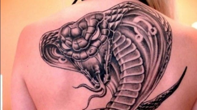 15 Awesome Cobra Back Tattoo Designs
