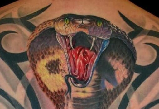 22 Best Snake Tattoo Designs For Back