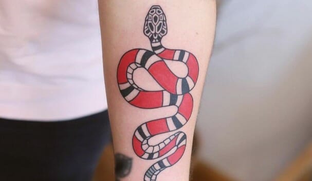 Top 14 Coral Snake Tattoo Ideas That Are Look So Cool For You