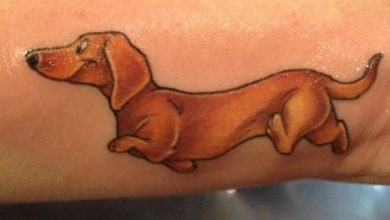32 Of The Best Dachshund Dog Tattoo Ideas Ever