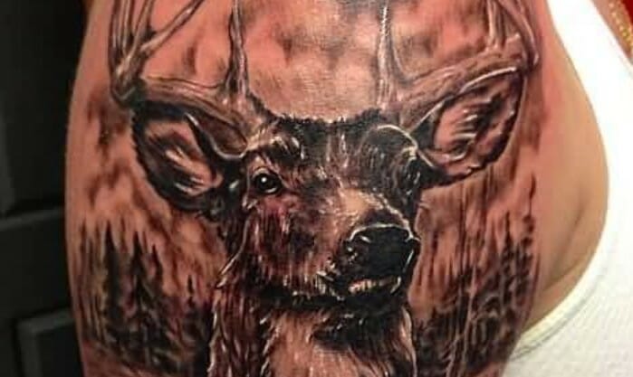 12+ Deer Face Tattoo Designs & Ideas