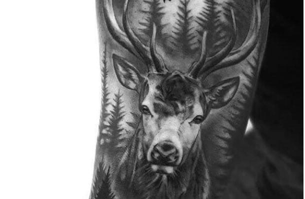 12+ Best Stag Sleeve Tattoo Ideas