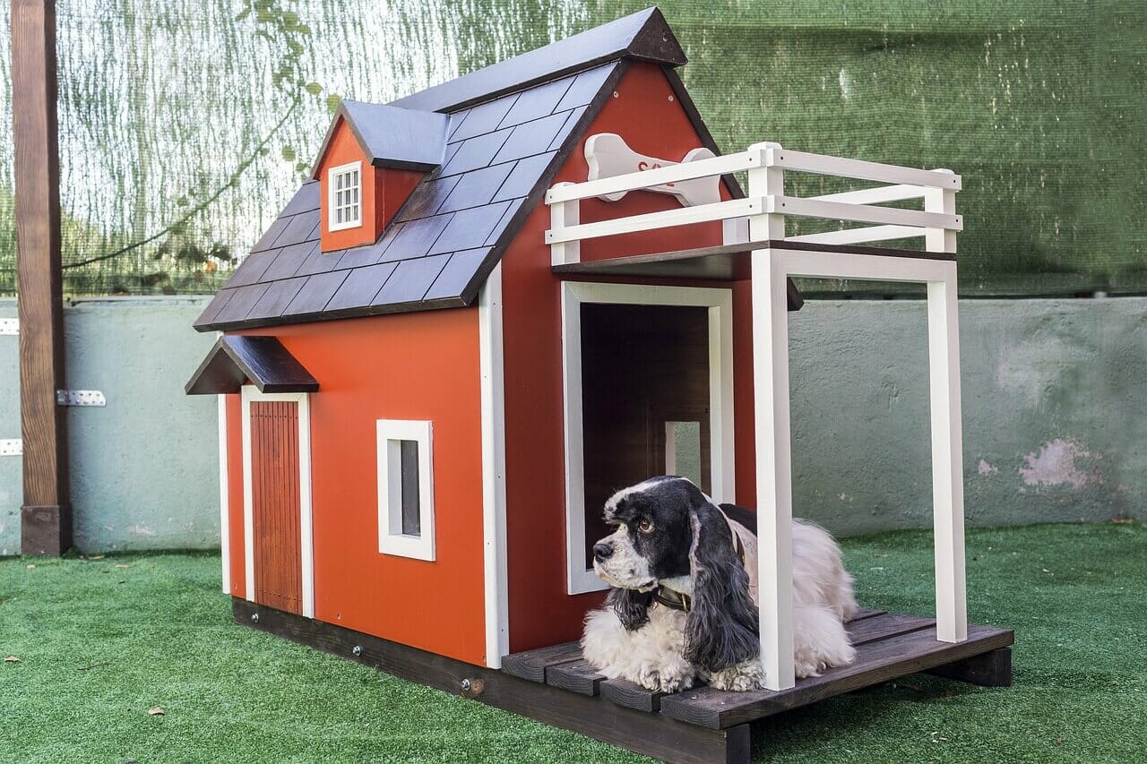 Building a DIY Dog Kennel: An Easy Step-by-Step Guide