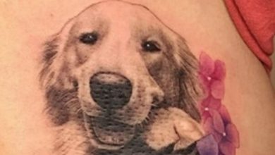 14 Realistic Dog Tattoos For Golden Retriever Lovers