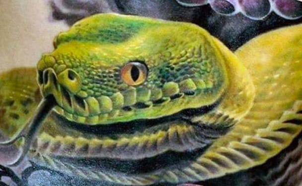 20 Green Snake Tattoo Ideas