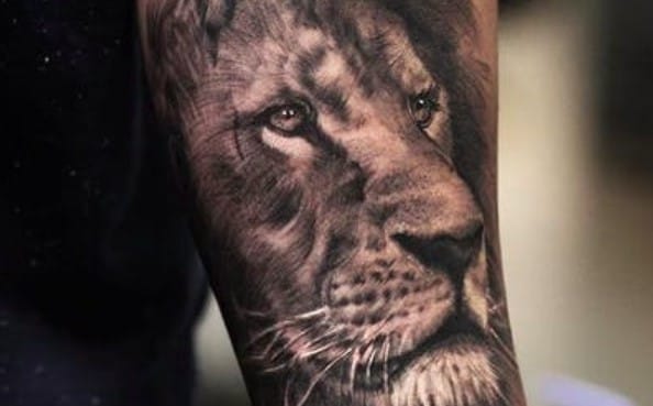 12+ Best Lion Portrait Tattoo Designs