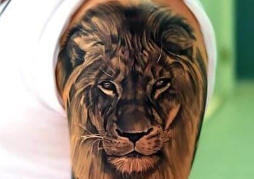 The 12+ King Of The Jungle Tattoo Designs – Lion Best Tattoo Ideas