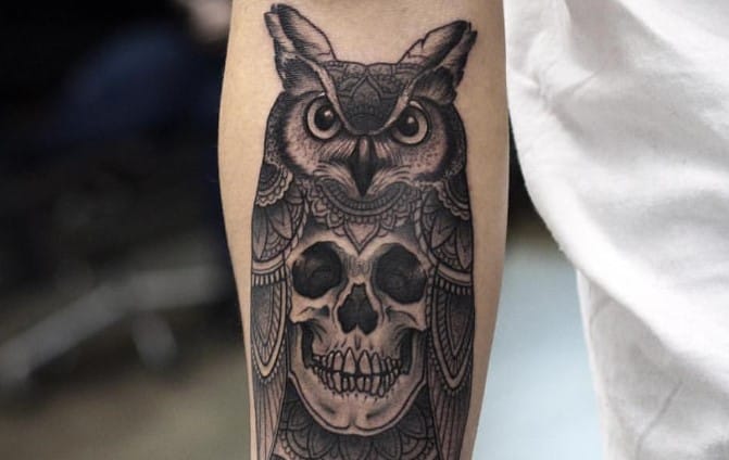 Top 12+ Owl and Skull Tattoo Ideas