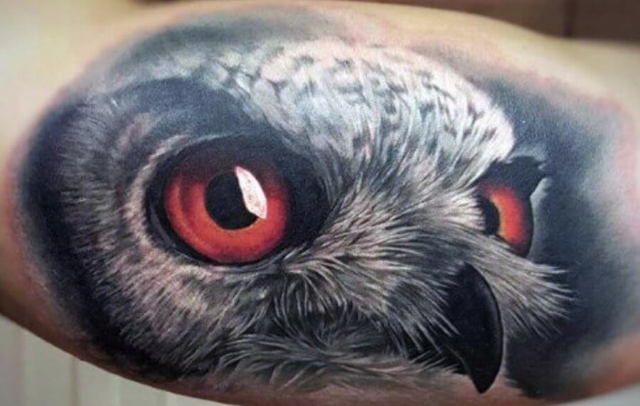 12+ Realistic Owl Tattoo Designs