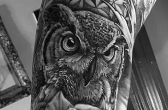 15+ Best Owl Sleeve Tattoo Designs