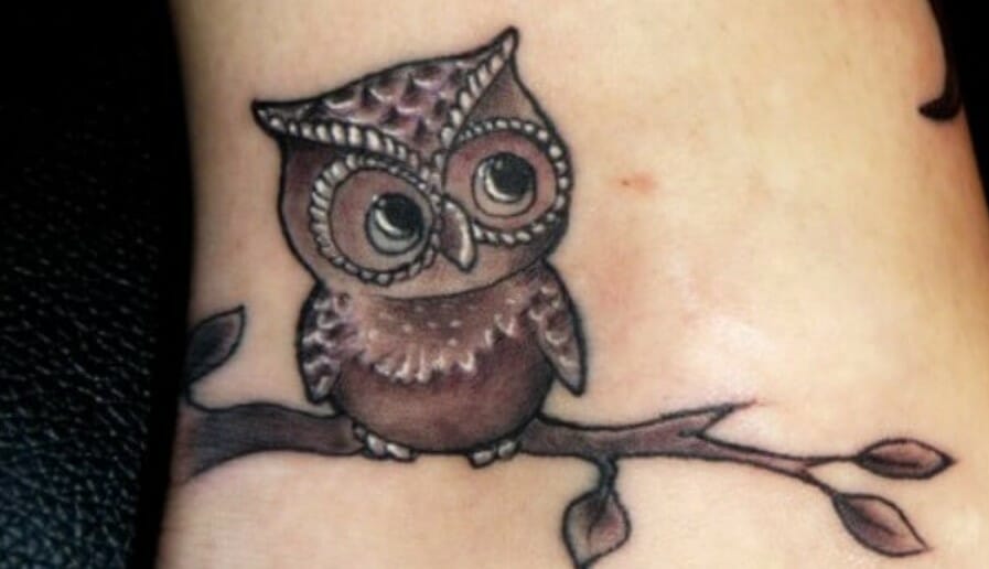 12+ Best Baby Owl Tattoo Ideas