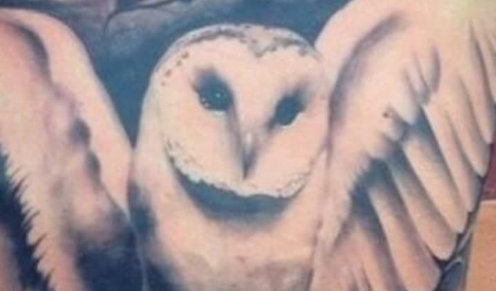 12+ Cool Owl Stomach Tattoo Designs and Ideas