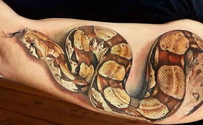 33 Coolest Python Tattoo Designs