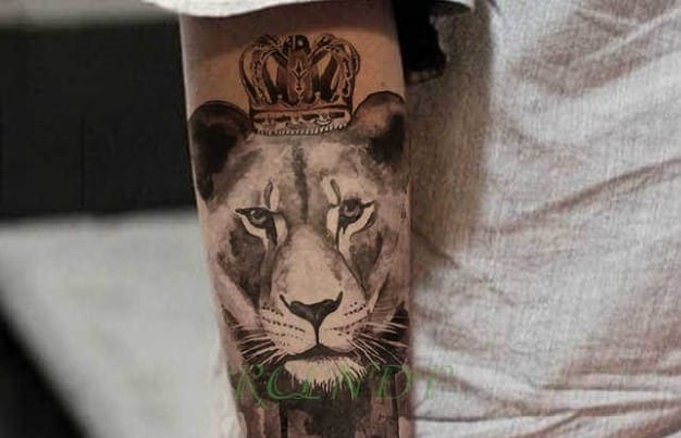 10+ Best Lioness Tattoos – Queen Tattoo Ideas