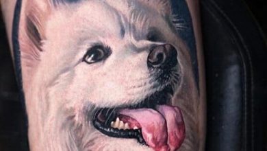 14 Samoyed Tattoos to Celebrate Your Four-Legged Best Friend