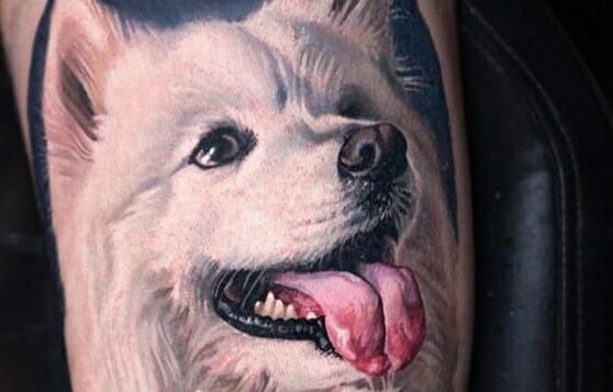 14 Samoyed Tattoos to Celebrate Your Four-Legged Best Friend