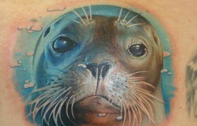 The 10+ Cutest Sea Lion Tattoo Designs