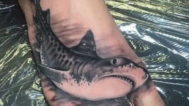 20 Fantastic Shark Tattoo Designs for Men & Women