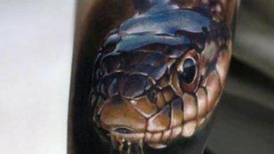 24 Realistic Snake Tattoo Designs