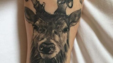 23 Best Stag Head Tattoo Designs and Ideas