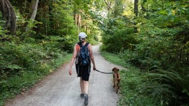 How Often Do You Walk Your Dog? A Comprehensive Guide
