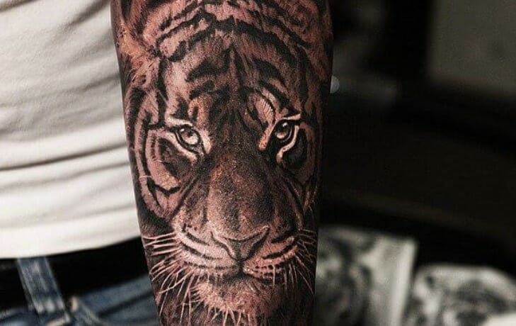 15+ Best Arm Tattoo Designs – Tiger Tattoo Ideas