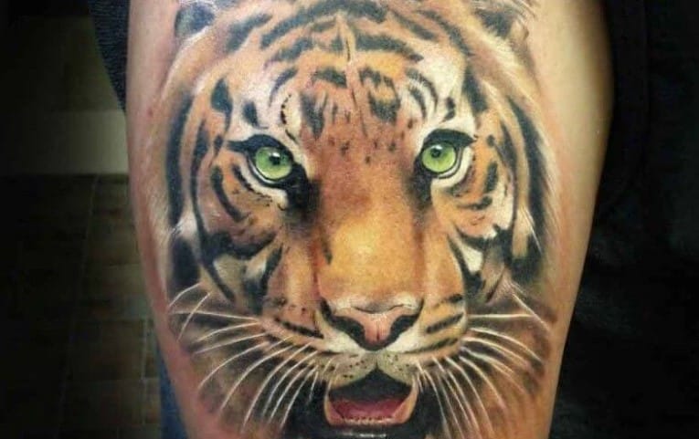 15+ Best Tiger Head Tattoo Designs and Ideas