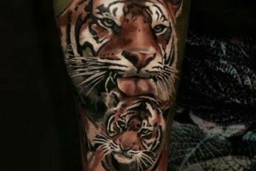 12+ Best Tiger and Cub Tattoo Designs