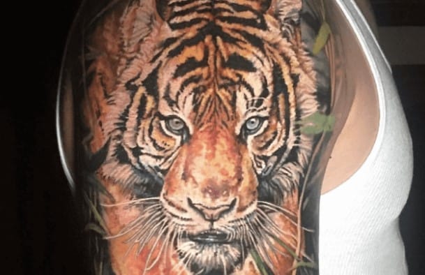 The 12+ Best Half Sleeve Tattoos – Tiger Tattoo Designs