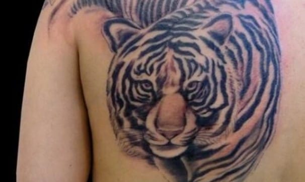 12+ Best Crawling Tiger Tattoo Designs