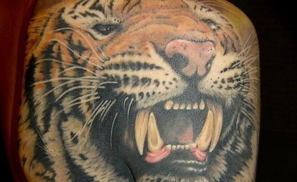 12+ 3d Tiger Tattoo Designs and Ideas