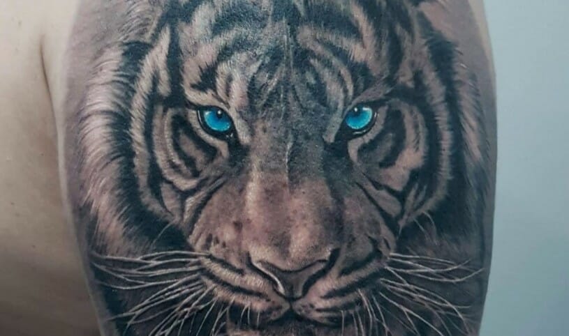 12+ Realistic Blue Eyes Tattoos – Tiger Tattoo Designs