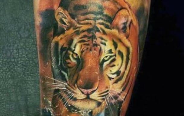 12+ Amazing Walking Tiger Tattoo Designs