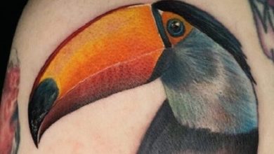 60 Coolest Toucan Tattoo Designs