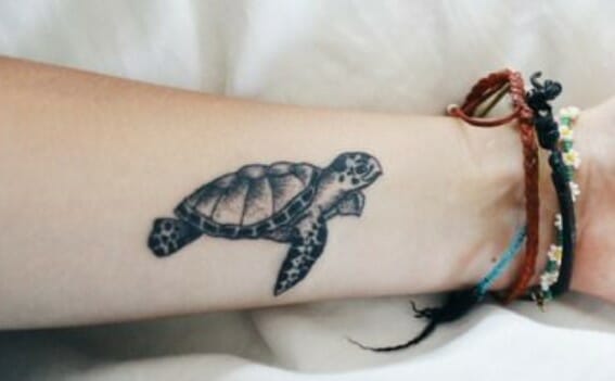 12+ Tiny Sea Turtle Tattoo Designs