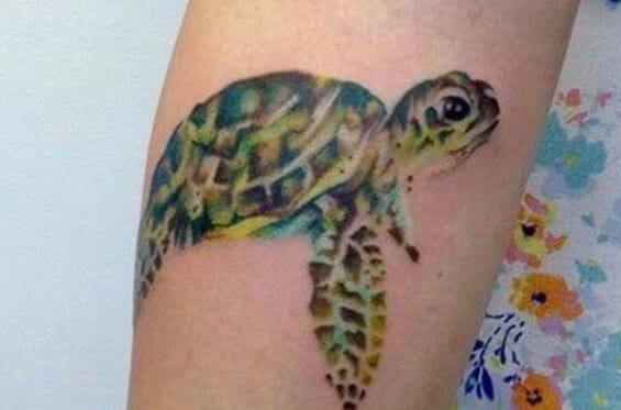 15+ Best Watercolor Turtle Tattoo Designs
